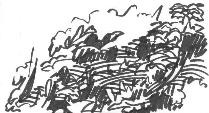 A loose brush pen sketch with random lines and marks that appear to be a landscape.